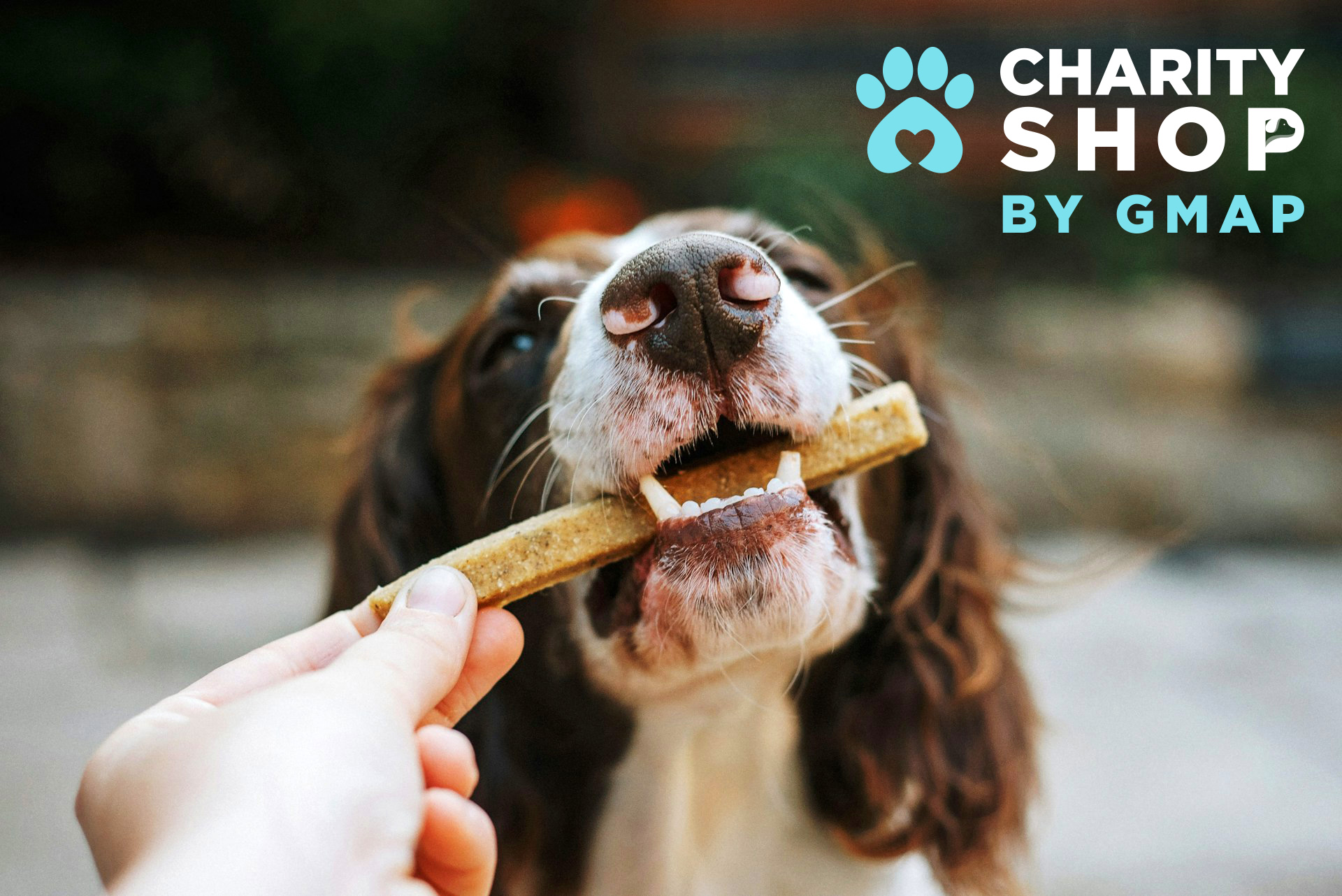 Online pet shop Lebanon