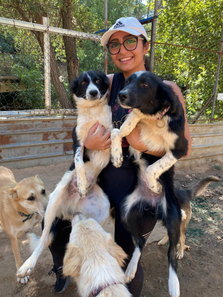 All About Volunteering for the GMAP Dog Shelter in Lebanon