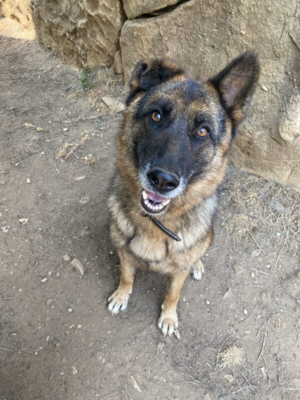 Riley - Image 3
