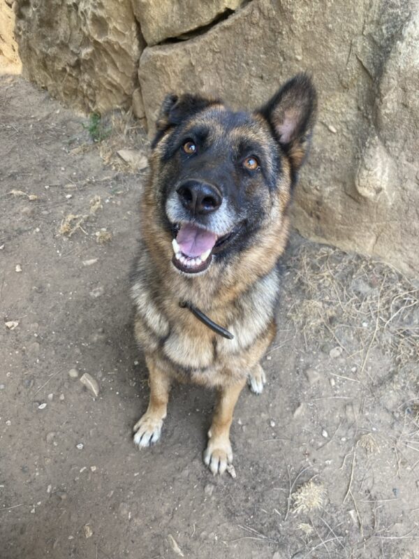 Riley - Image 5