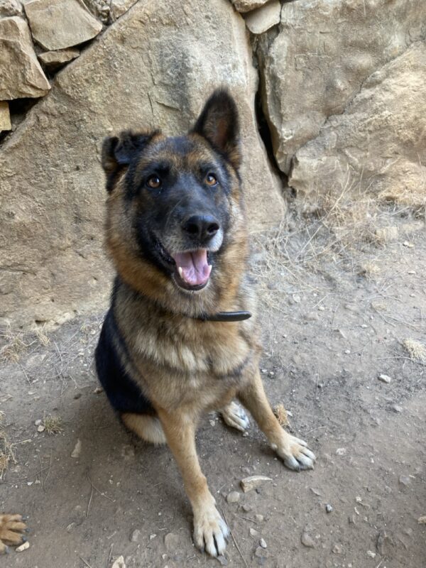 Riley - Image 6