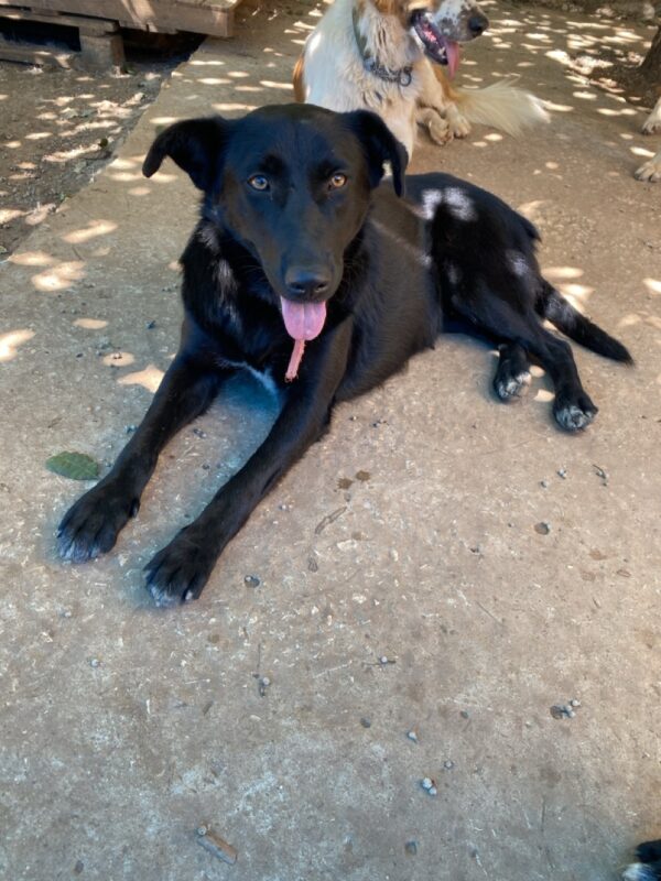 Lexy - Image 10