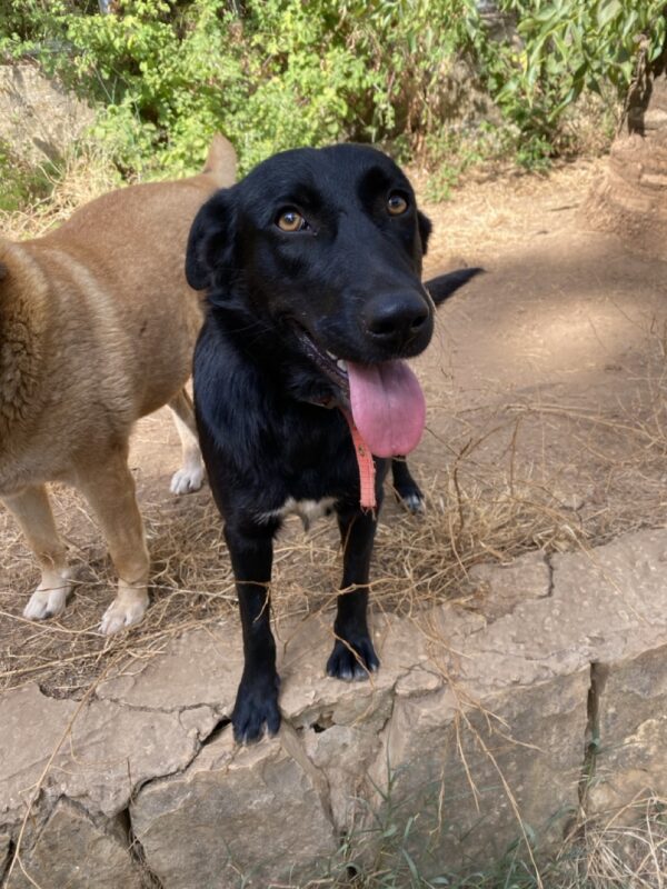 Lexy - Image 3