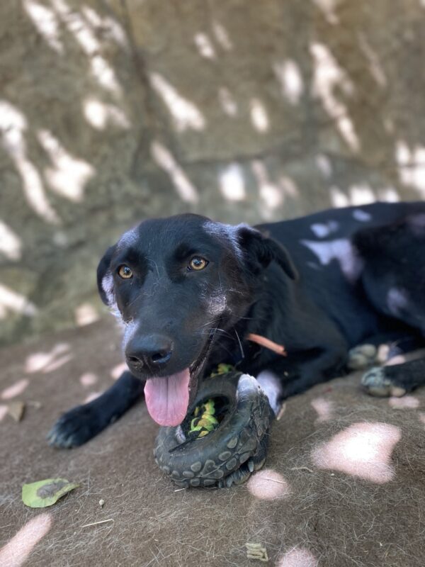 Lexy - Image 4