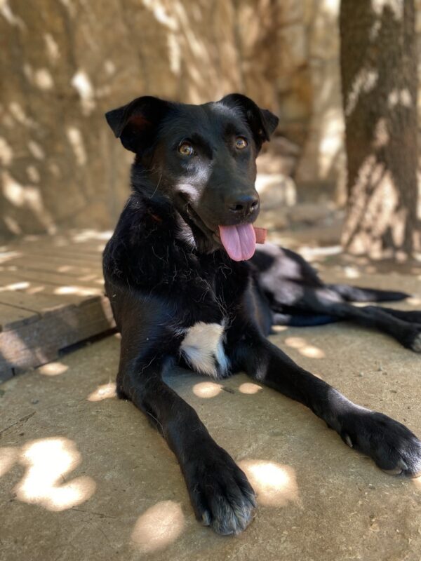 Lexy - Image 5
