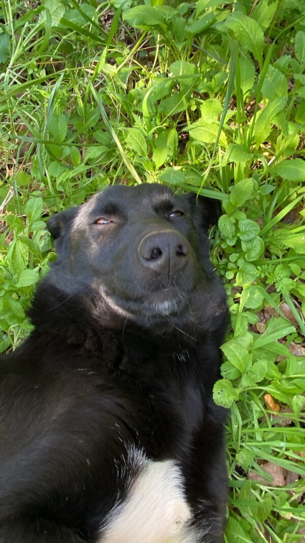 Lexy - Image 6