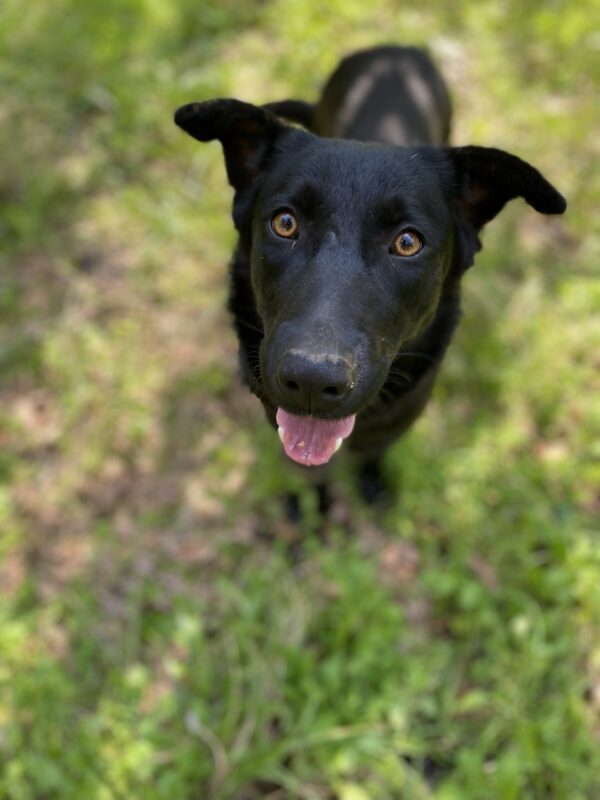 Lexy - Image 8