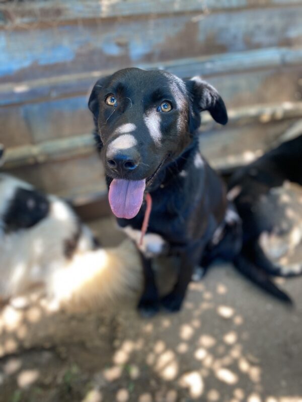 Lexy - Image 9
