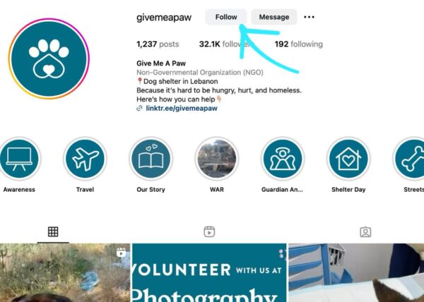 you can help without