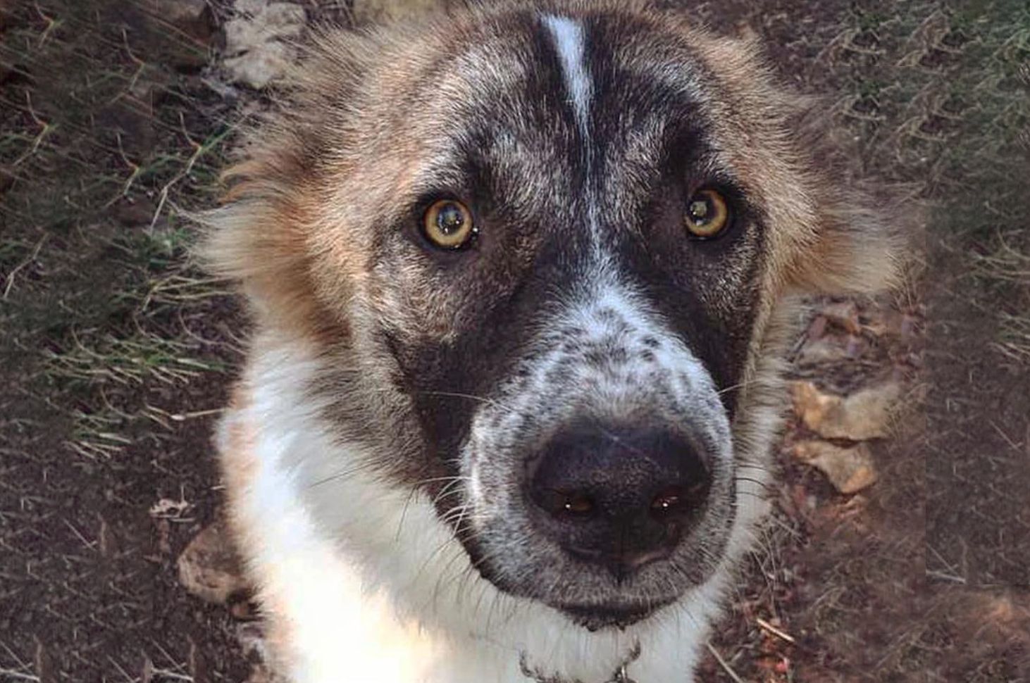 Lebanese villages cover