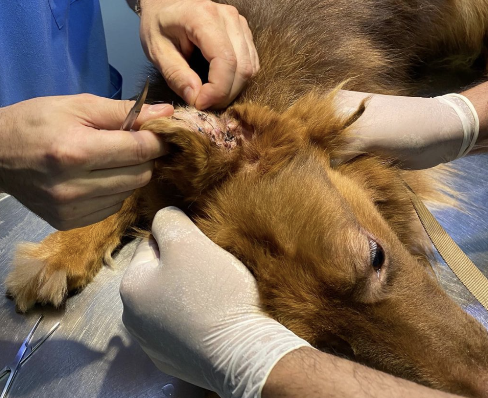 Community support Lebanon