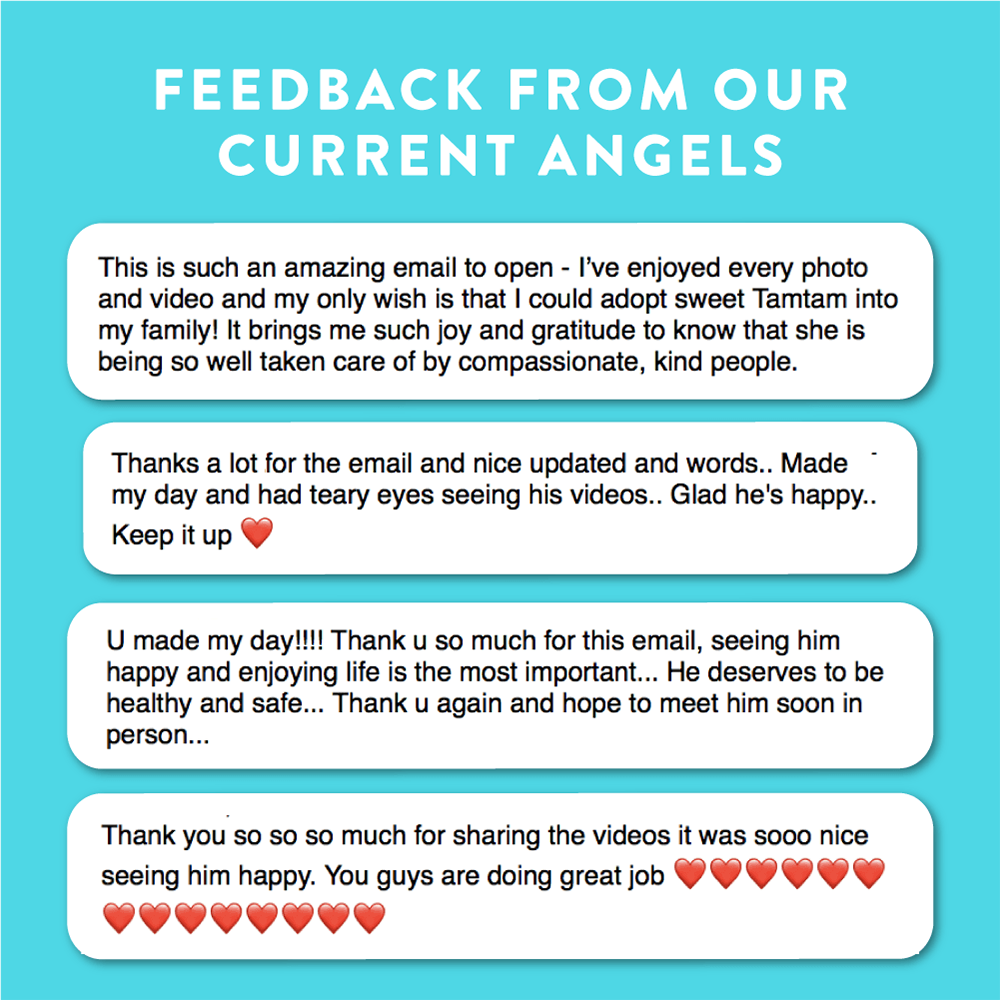 Feedback from angels