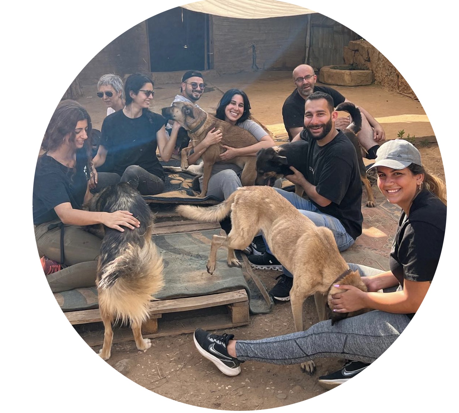 Community of dog lovers